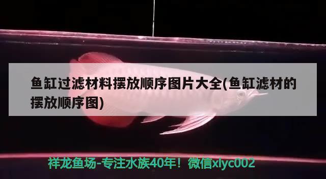 魚缸過濾材料擺放順序圖片大全(魚缸濾材的擺放順序圖) 魚缸風水 第1張