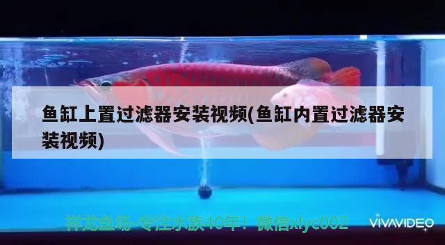 玻璃魚缸會自己爆裂嗎視頻教程(玻璃魚缸自己裂了原因)