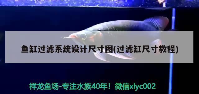 魚缸過濾系統(tǒng)設計尺寸圖(過濾缸尺寸教程) 白子金龍魚