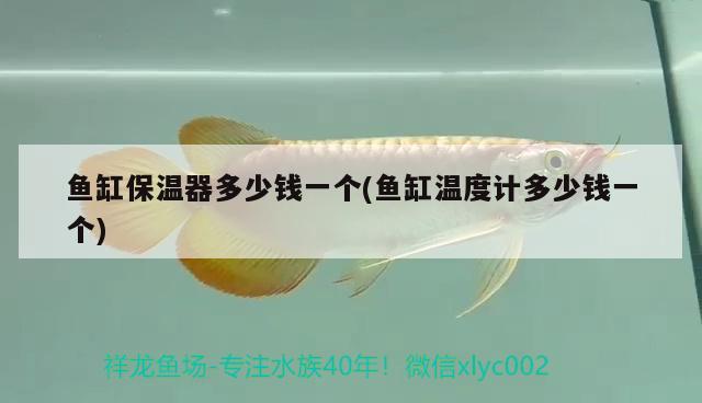 魚缸保溫器多少錢一個(魚缸溫度計多少錢一個)