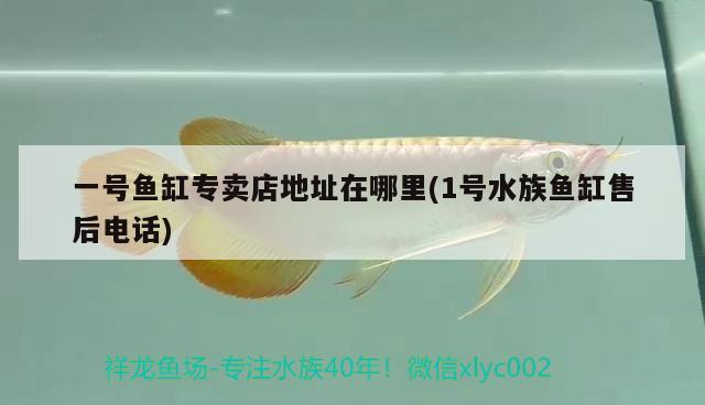 一號(hào)魚缸專賣店地址在哪里(1號(hào)水族魚缸售后電話) 雙線側(cè)魚