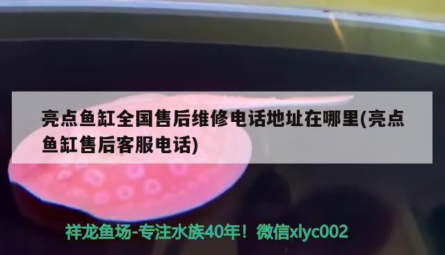 金華魚缸批發(fā)廠家直銷電話地址及電話多少號 金華魚缸批發(fā)廠家直銷電話地址及電話多少號碼