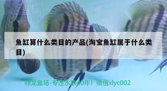 魚(yú)缸算什么類目的產(chǎn)品(淘寶魚(yú)缸屬于什么類目) 狗頭魚(yú)