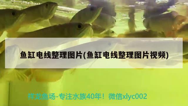 魚缸電線整理圖片(魚缸電線整理圖片視頻) 水族用品