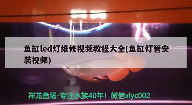 魚缸led燈維修視頻教程大全(魚缸燈管安裝視頻)