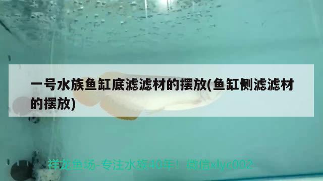 一號水族魚缸底濾濾材的擺放(魚缸側(cè)濾濾材的擺放) 哥倫比亞巨暴魚苗