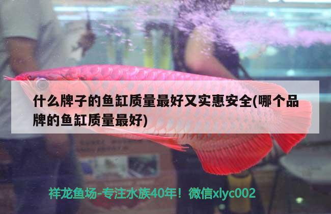 什么牌子的魚缸質(zhì)量最好又實惠安全(哪個品牌的魚缸質(zhì)量最好)