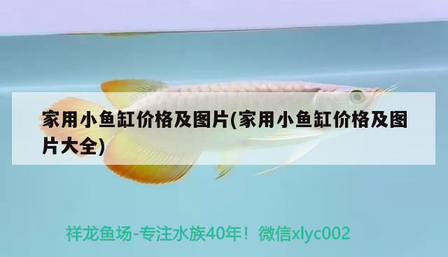 崇左觀賞魚(yú)