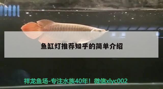 魚缸燈推薦知乎的簡(jiǎn)單介紹