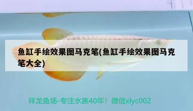 魚缸手繪效果圖馬克筆(魚缸手繪效果圖馬克筆大全) 泰國虎魚（泰虎）