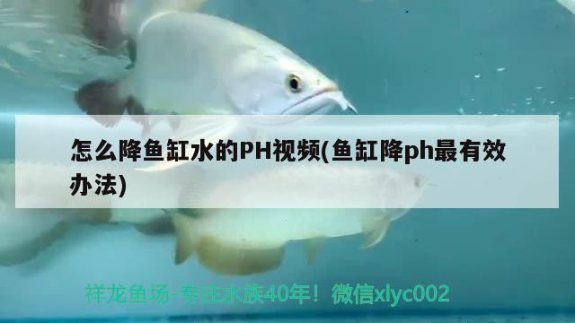 怎么降魚缸水的PH視頻(魚缸降ph最有效辦法)