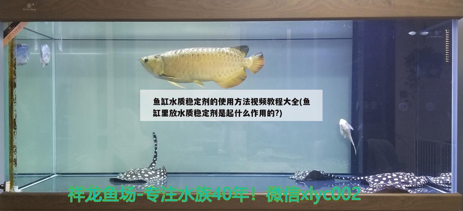 彩蝶魚缸款式圖大全(彩蝶魚缸都有什么系列)