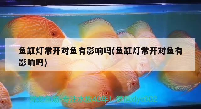 魚缸燈常開對(duì)魚有影響嗎(魚缸燈常開對(duì)魚有影響嗎)