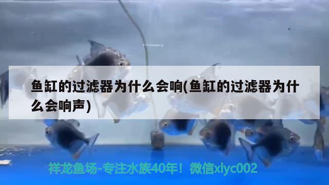 南寧萬達茂附近網(wǎng)紅打卡地，南寧出現(xiàn)過什么歷史名人