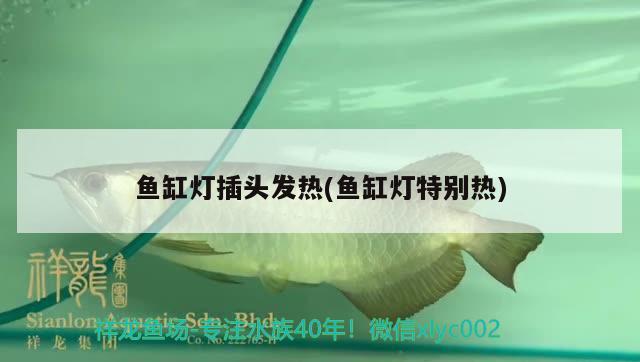 魚缸燈插頭發(fā)熱(魚缸燈特別熱)