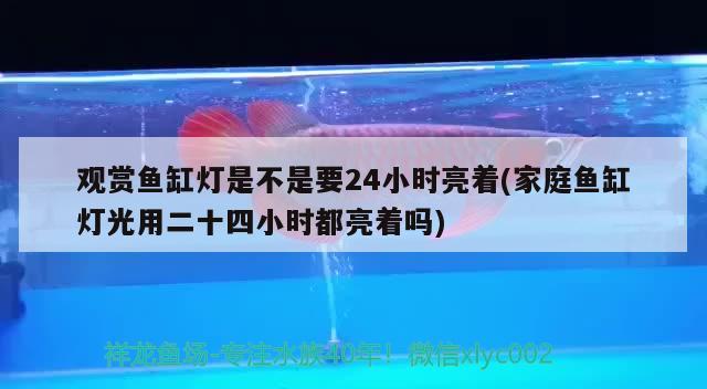 觀賞魚缸燈是不是要24小時亮著(家庭魚缸燈光用二十四小時都亮著嗎)