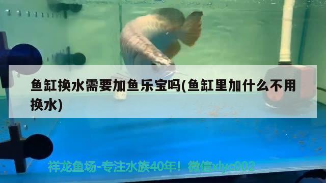 魚缸換水需要加魚樂寶嗎(魚缸里加什么不用換水) 二氧化碳設(shè)備 第3張