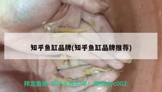 魚缸安裝底濾需要的配件（安裝一套魚缸底濾多少錢） 印尼虎苗