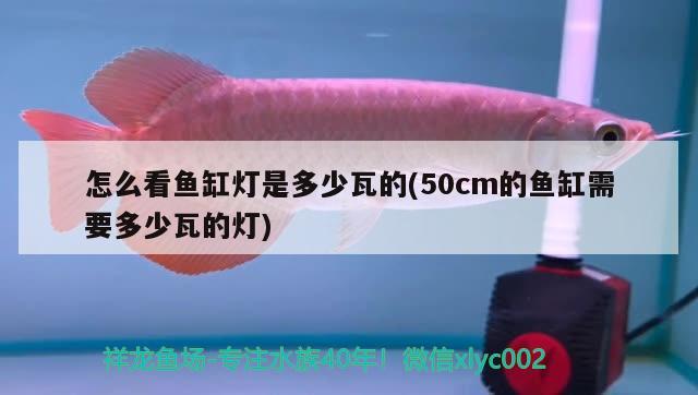 怎么看魚缸燈是多少瓦的(50cm的魚缸需要多少瓦的燈)