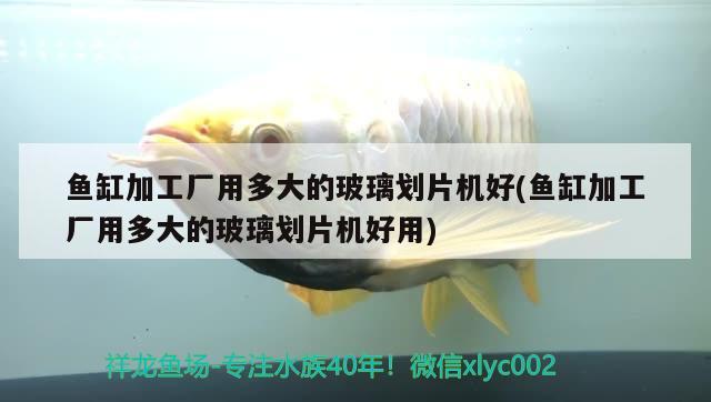 魚(yú)缸加工廠用多大的玻璃劃片機(jī)好(魚(yú)缸加工廠用多大的玻璃劃片機(jī)好用)