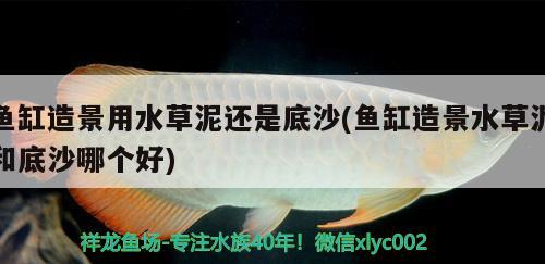 魚缸造景用水草泥還是底沙(魚缸造景水草泥和底沙哪個(gè)好) 水草