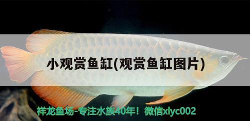 我的曼龍魚顏色變深，這有什么征兆嗎，藍(lán)曼龍魚下小魚征兆