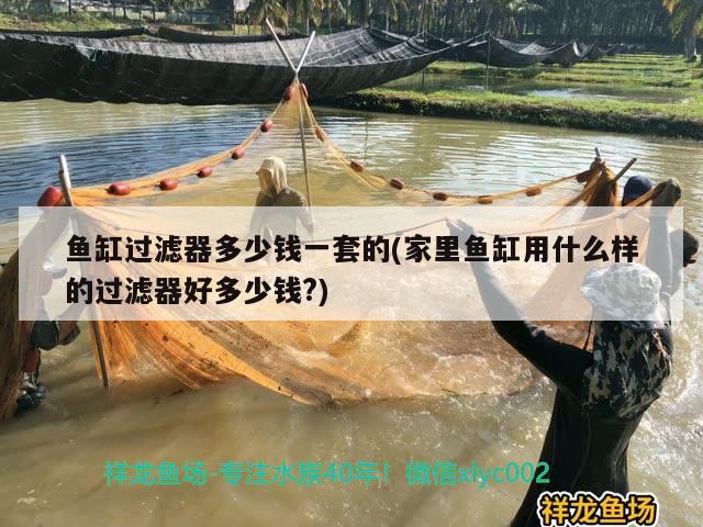 湛江水族批發(fā)市場在哪里啊電話（湛江水族批發(fā)市場在哪里啊電話號(hào)碼多少）