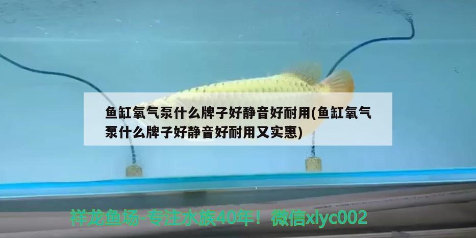 魚缸氧氣泵什么牌子好靜音好耐用(魚缸氧氣泵什么牌子好靜音好耐用又實(shí)惠)