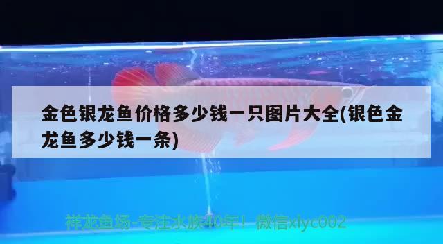 歐博龍魚缸售后電話是多少（歐博龍玻璃膜怎么樣） 其他品牌魚缸 第1張