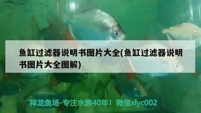 魚缸過濾器說明書圖片大全(魚缸過濾器說明書圖片大全圖解) 水族世界