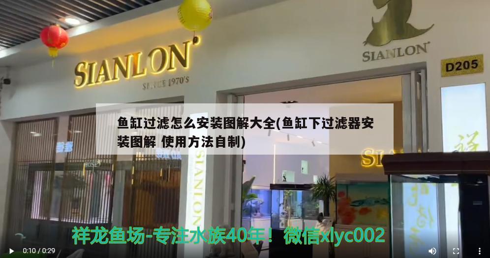 佛山市順德區(qū)龍江鎮(zhèn)雄龍水族器材店 全國(guó)水族館企業(yè)名錄 第3張