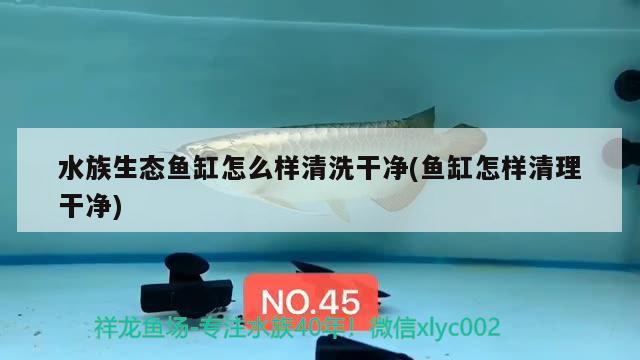 金龍魚(yú)一條魚(yú)多少錢(qián)(金龍魚(yú)多少錢(qián)一條?)