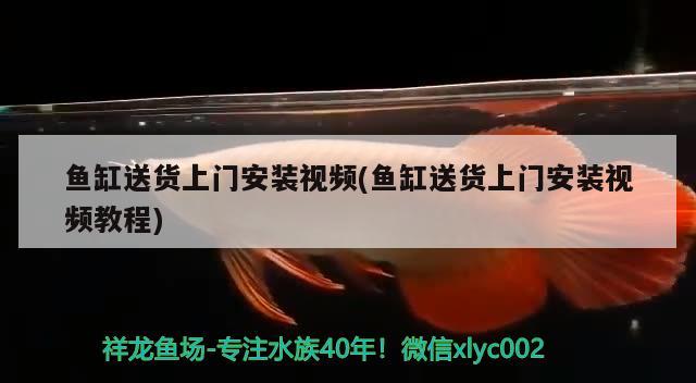 魚缸送貨上門安裝視頻(魚缸送貨上門安裝視頻教程) 雙線側魚