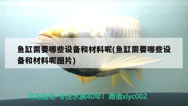 魚(yú)缸需要哪些設(shè)備和材料呢(魚(yú)缸需要哪些設(shè)備和材料呢圖片) 慈雕魚(yú)