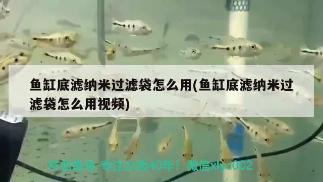 魚缸底濾納米過濾袋怎么用(魚缸底濾納米過濾袋怎么用視頻)