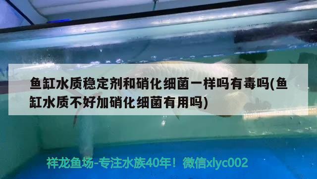 魚(yú)缸抽水泵有噪音怎樣解決方法視頻(魚(yú)缸抽水泵噪音大如何解決)