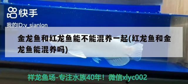 香河縣玩它花店（香河縣花店電話） 全國水族館企業(yè)名錄 第2張