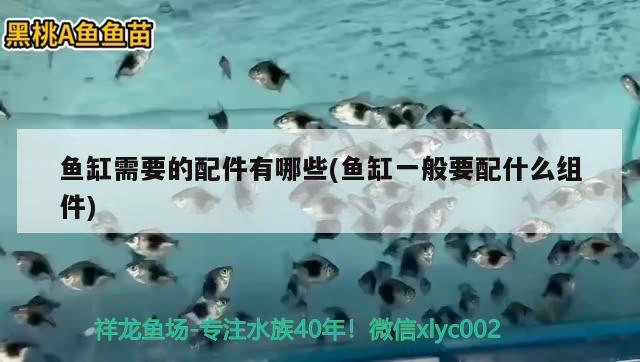 魚缸需要的配件有哪些(魚缸一般要配什么組件)