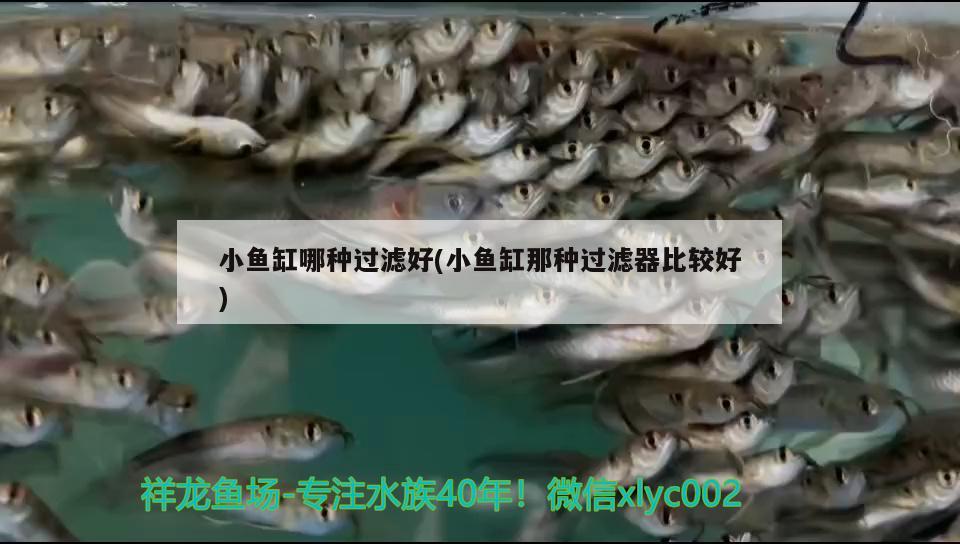 小魚缸哪種過濾好(小魚缸那種過濾器比較好) 魚缸等水族設(shè)備