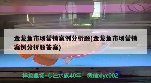 金龍魚市場營銷案例分析題(金龍魚市場營銷案例分析題答案) 招財(cái)戰(zhàn)船魚