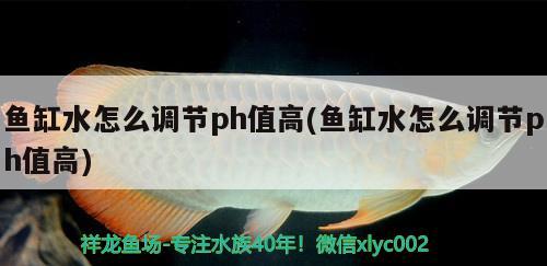 防止龍魚掉眼的最佳方法視頻教學(怎樣預防龍魚掉眼) 水族燈（魚缸燈） 第1張