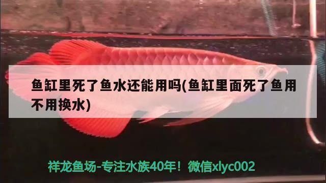 魚缸里死了魚水還能用嗎(魚缸里面死了魚用不用換水) 除藻劑