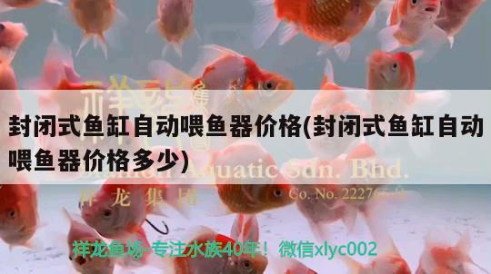 封閉式魚缸自動喂魚器價格(封閉式魚缸自動喂魚器價格多少)