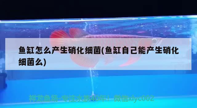 附近的水族魚缸廠在哪里啊電話（水族魚缸批發(fā)市場在哪）