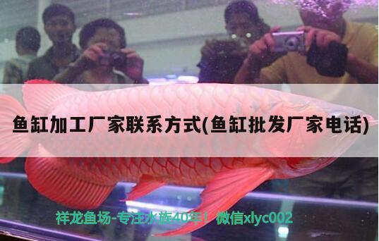 魚缸加工廠家聯(lián)系方式(魚缸批發(fā)廠家電話) 其他益生菌