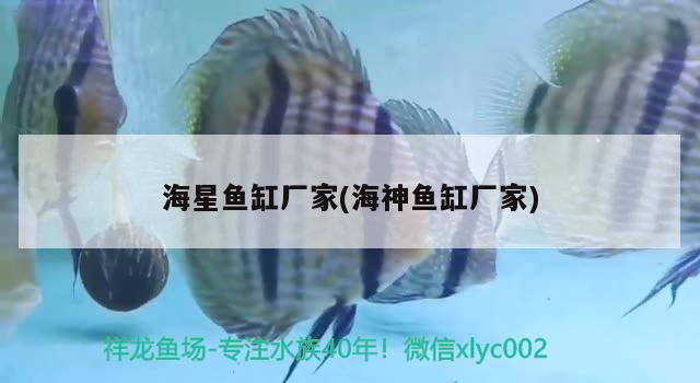 海星魚缸廠家(海神魚缸廠家) 稀有金龍魚