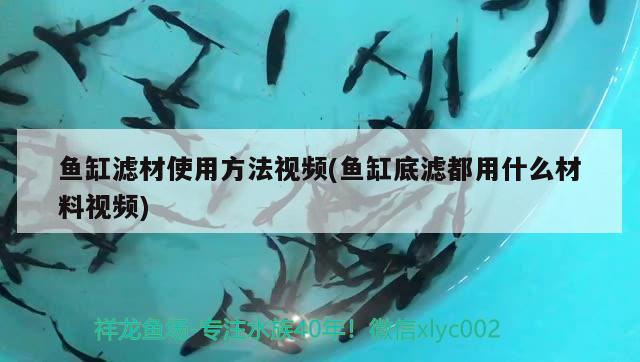 魚(yú)缸濾材使用方法視頻(魚(yú)缸底濾都用什么材料視頻) 三間鼠魚(yú)