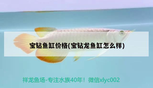 金龍魚產(chǎn)卵是怎么產(chǎn)卵的（金龍魚產(chǎn)卵是怎么產(chǎn)卵的圖片） 觀賞魚