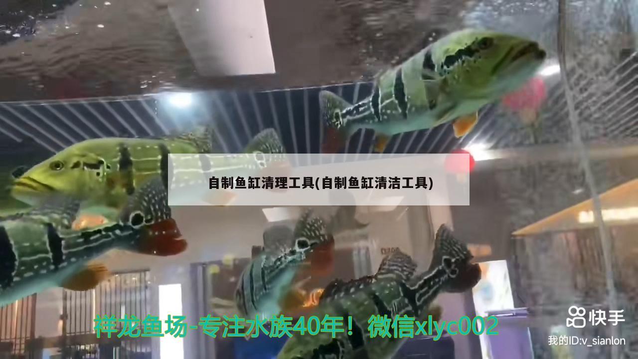 魚缸過濾棉怎樣安裝：魚缸過濾棉怎樣安裝好