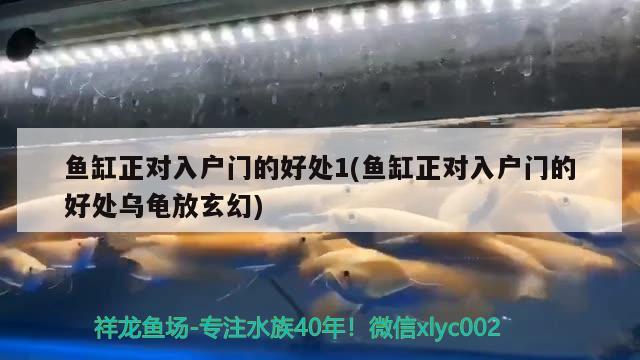 寧海天明水族館（寧海天明水族館電話）